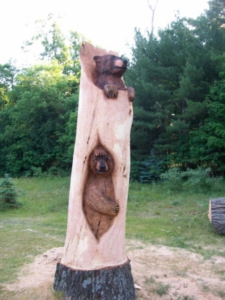 Bears in a Tree