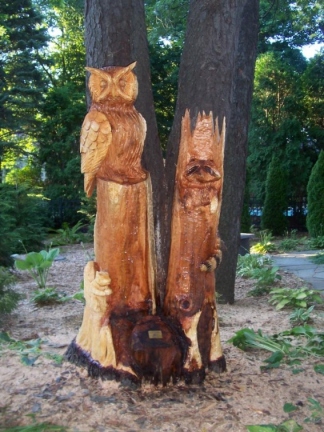 Owl, Raccoon and Squirrel