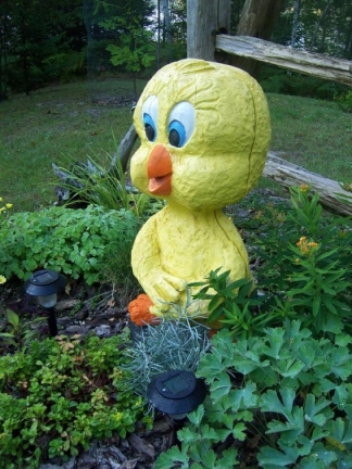 Tweety Bird