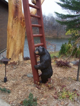 Bear at a Ladder