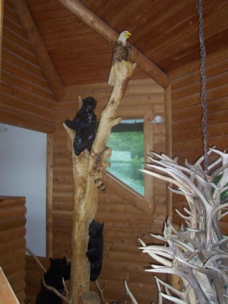 Three Bears, an Eagle, and a Raccoon