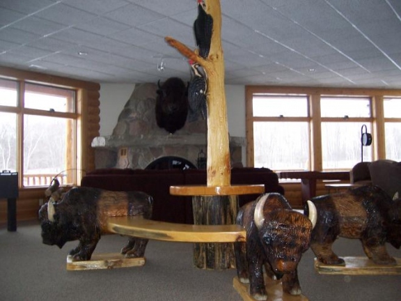 Buffalo Circle Bench (low angle)