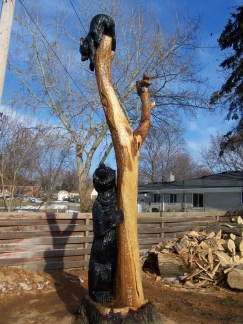 Bears with a Squirrel
