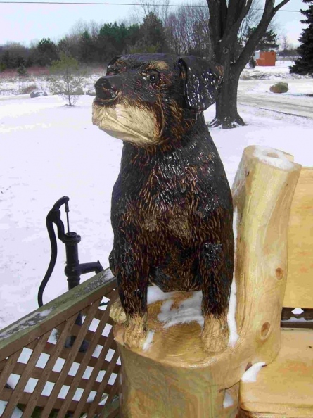 close-up-of-the-dog-bench.jpg