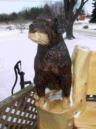 Close up of the Dog Bench