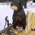 Close up of the Dog Bench