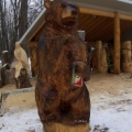 Brown Bear with a Beer