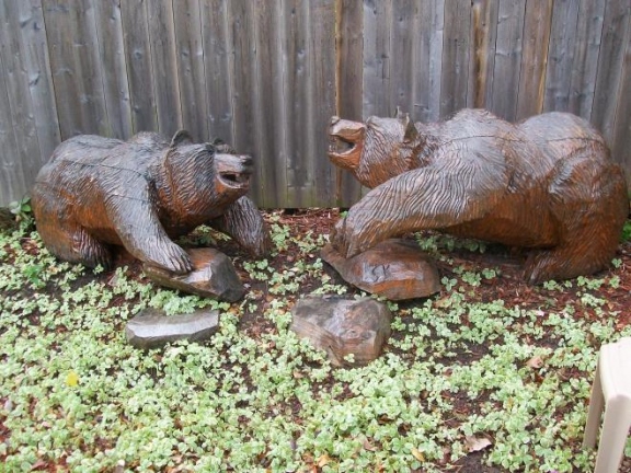 Fighting Grizzly Bears