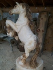 Horse 4