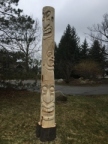 Tikis