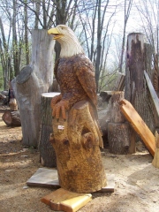 Eagle 4