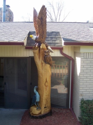 Eagle and Blue Heron