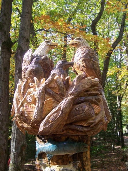 eagles-in-a-nest.jpg
