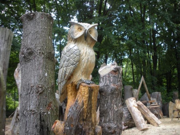 Owl on a Stump