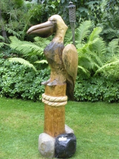 pelican