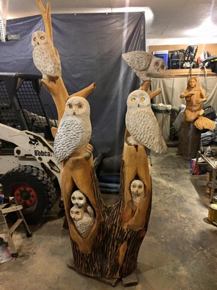 seven-owls.jpg