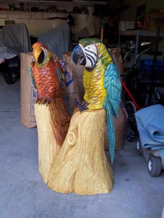 Two Parrots
