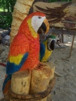 Two Parrots on a Palm Tree