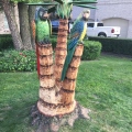 Two Parrots on a Palm Tree 2