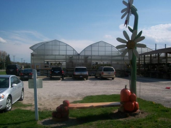 Bench with Pumpkins Strawberries and Daisies