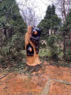 Bear in a Stump and on a Stump