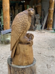 Large Perched Eagle
