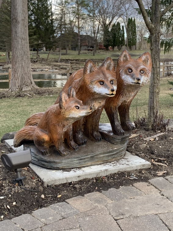 Three Foxes