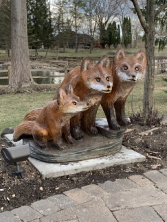 Three Foxes