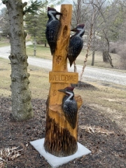 Pileated Woodpeckers Welcome Sign