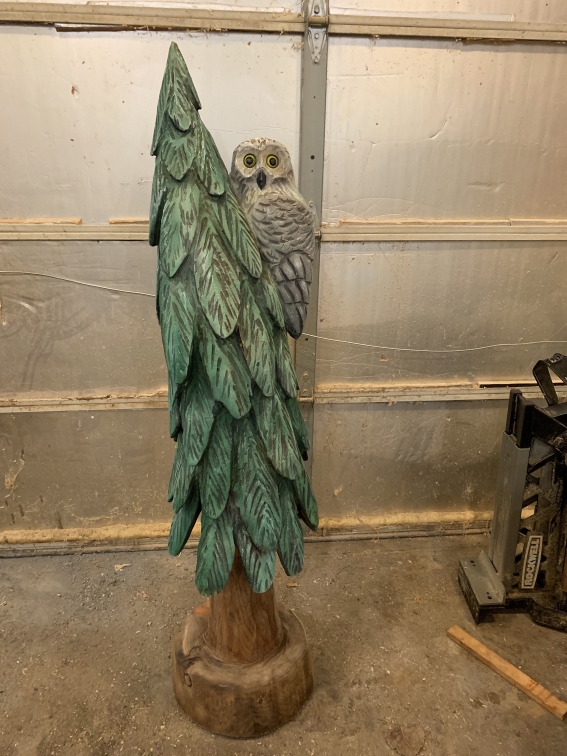 Owl in a Tree