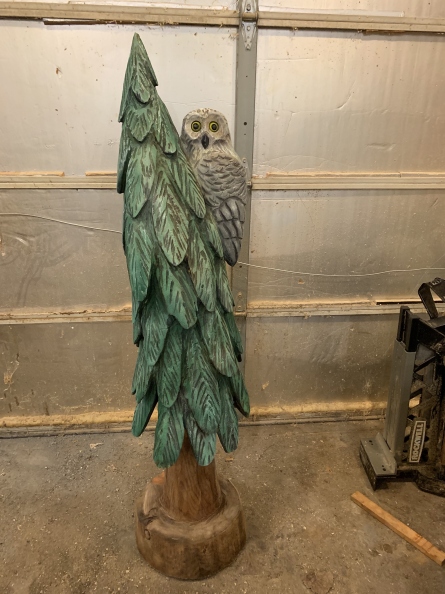 owl-in-a-tree.jpg