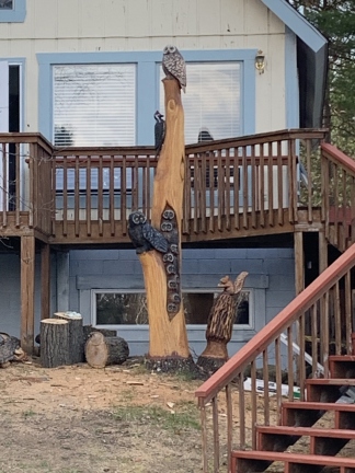 Eleven Owls and a Woodpecker