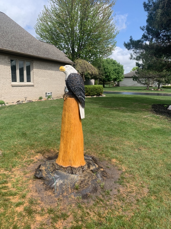 Eagle Perched On Large Stump
